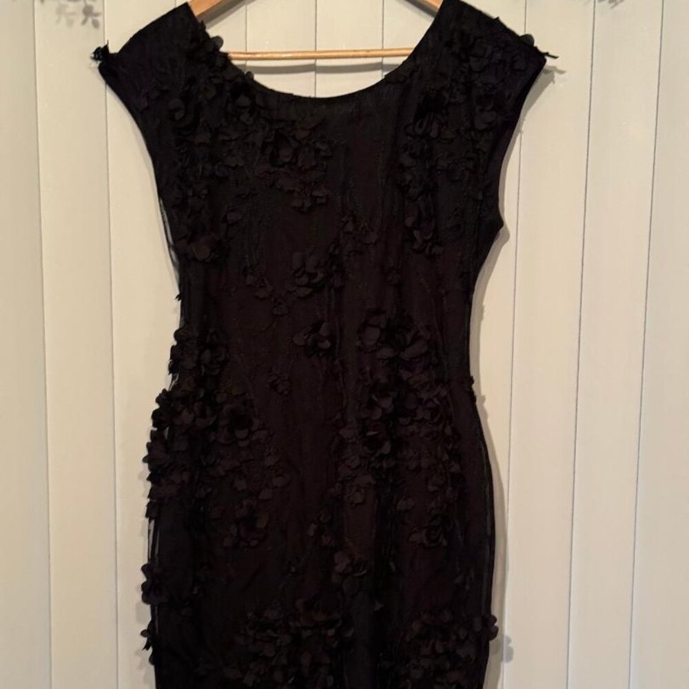 Textured Mesh Fitted Black Dress (Size 8)